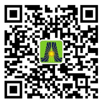 深圳市鴻嘉利新能源有限公司